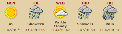 AOL Digital City weather forecast graphic