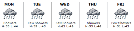 City Search weather forecast graphic