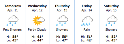 MSN weather forecast graphic