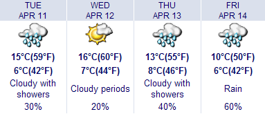 Weather Network weather forecast graphic