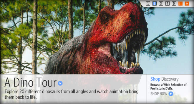 Discovery Channel carousel design example