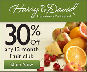 Harry and David banner ad design example