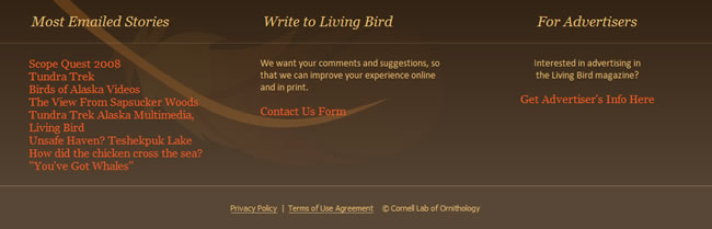 Living Bird website footer design example