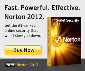Norton 2012 banner ad design example