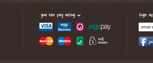 Ten Little Monkeys website footer showing payment methods accepted