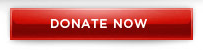 Barack Obama web button design example