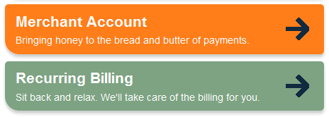 Braintree Payment Solutions web button design example