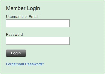 Graphic Leftovers login form design example