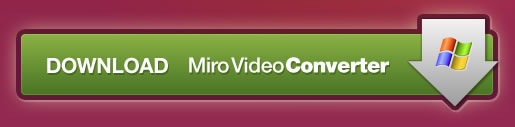 Miro Video Converter web button design example