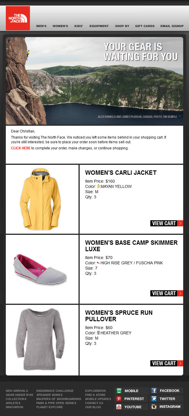 The North Face abandoned cart email design example