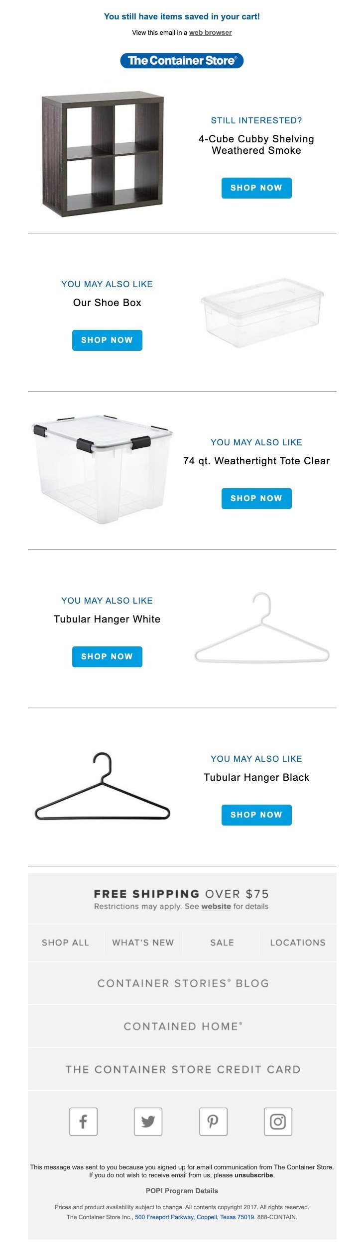 The Container Store abandoned cart email