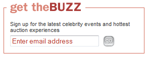 charitybuzz email signup form design example