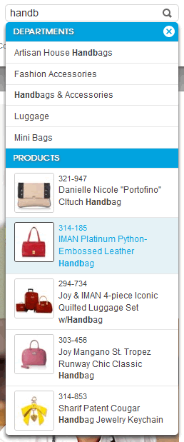 HSN search auto-complete design example