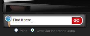 Larissa Meek search box design example