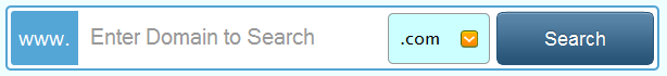 Namecheap search box design example