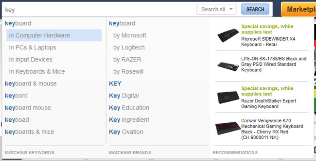 Newegg search auto-complete design example