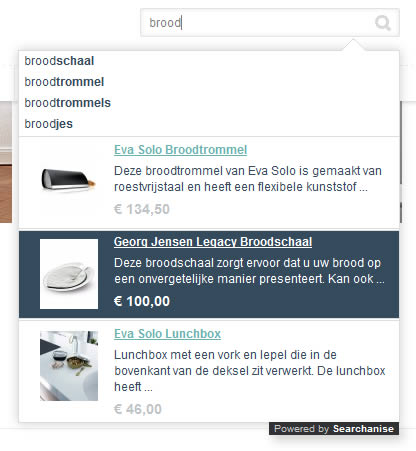 Sterk Online search auto-complete design example