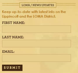 The Lippincott email signup form design example