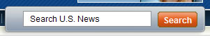 US News & World Report search box design example