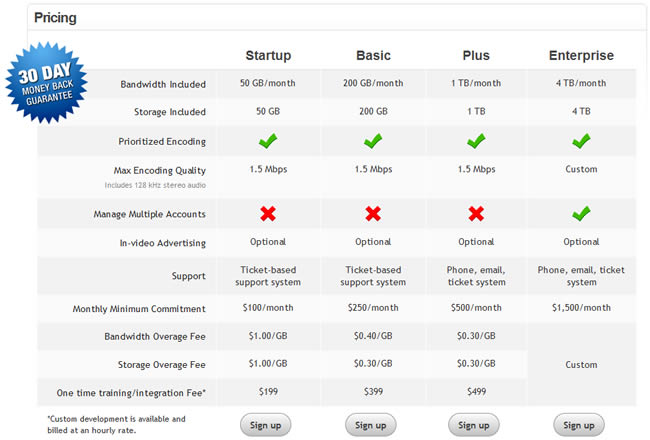Viddler Business Services pricing table design example