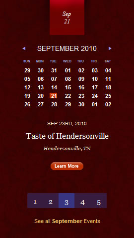 Winter in Tennessee date picker design example