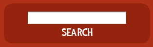 Wufoo search box design example