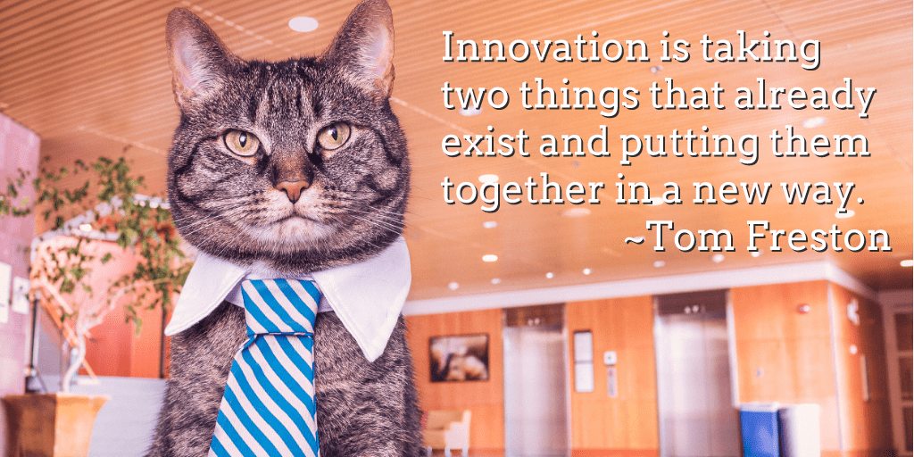 Innovation is taking two things that already exist and putting them together in a new way.