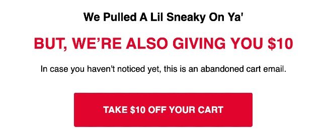 Shinesty abandoned cart email copywriting