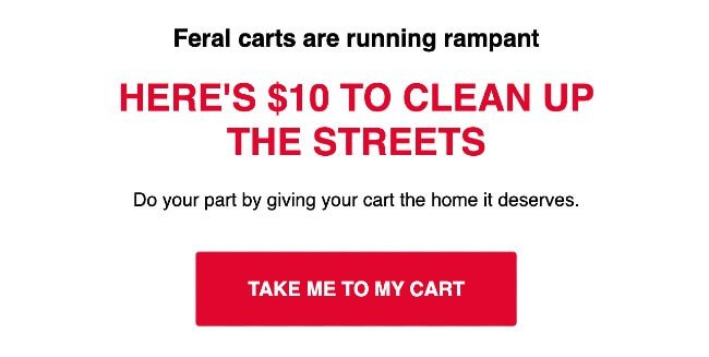 Shinesty abandoned cart email copywriting